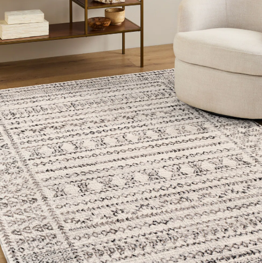 Modern Area Rug – Contemporary Non-Shedding, Stain Resistant